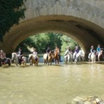 ferme-equestre-1