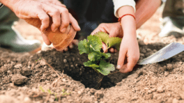 Mains qui jardinent