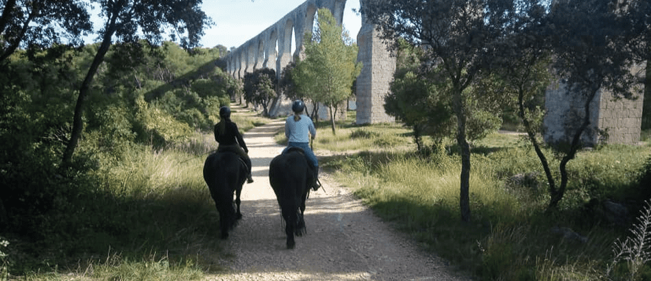 A cheval sur les Monts Teyran