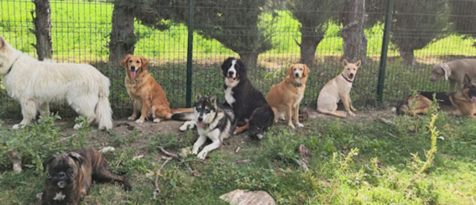 Bon d’achat de 20 $