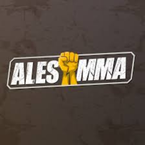 Logo de Alès MMA